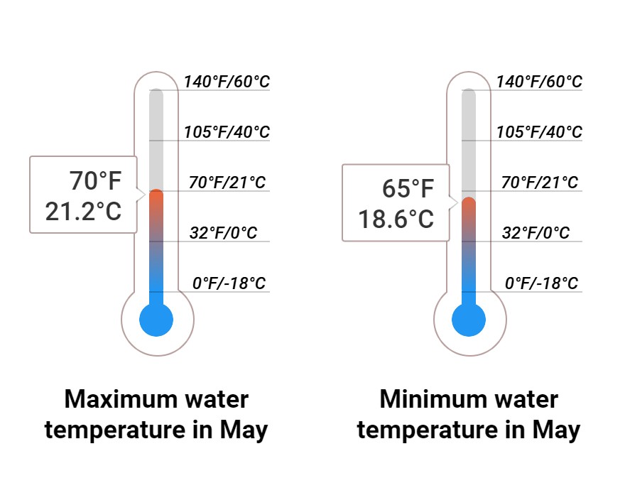 Average Sea temperature